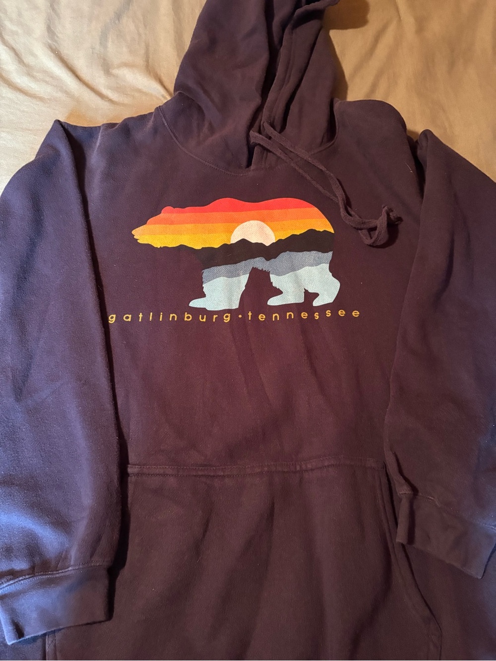 Gatlinburg Tennessee Bear Graphic Hoodie - dark blue Pullover